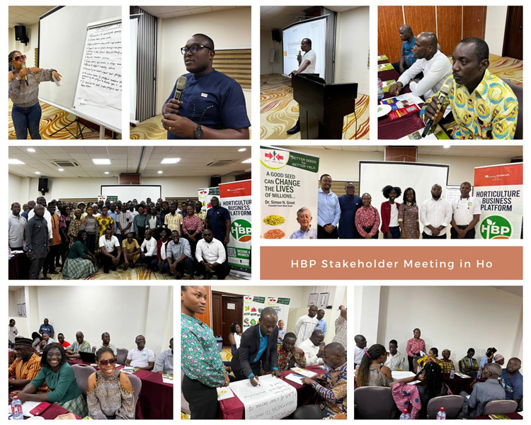 Project Update: Horticulture Business Platform (HBP) Stakeholder Meeting in Ho