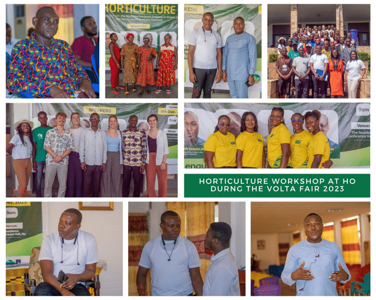 Project Update: HBP Tamale Sensitization Workshop