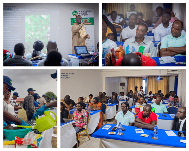 SMEs Gain Transformative Insights at HBP and IDH  Supported ToT Program
