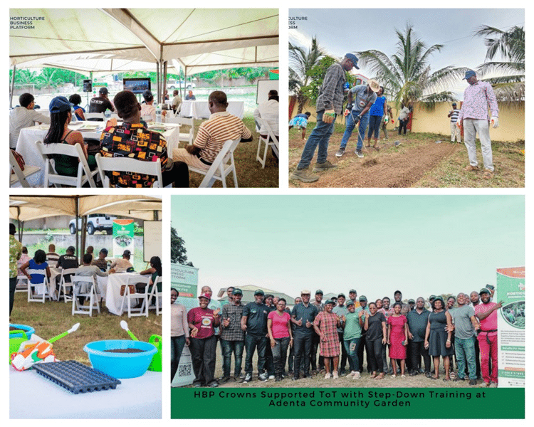HBP Crowns Supported ToT with Step-Down Training at Adenta Community Garden 