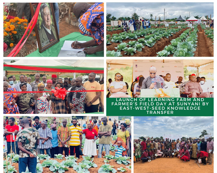 East-West Seed-Knowledge Transfer’s Field Day & Learning Farm Launch in Duayaw Nkwanta