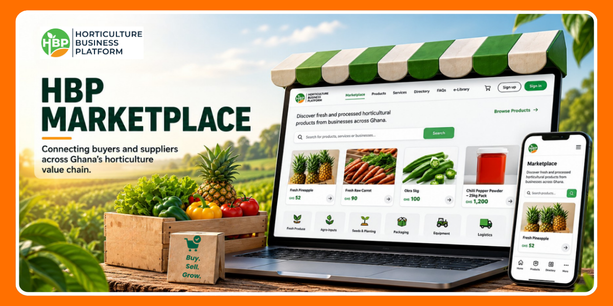HBP Marketplace Goes Live, Creating a Digital Space for Ghana’s Horticulture Businesses