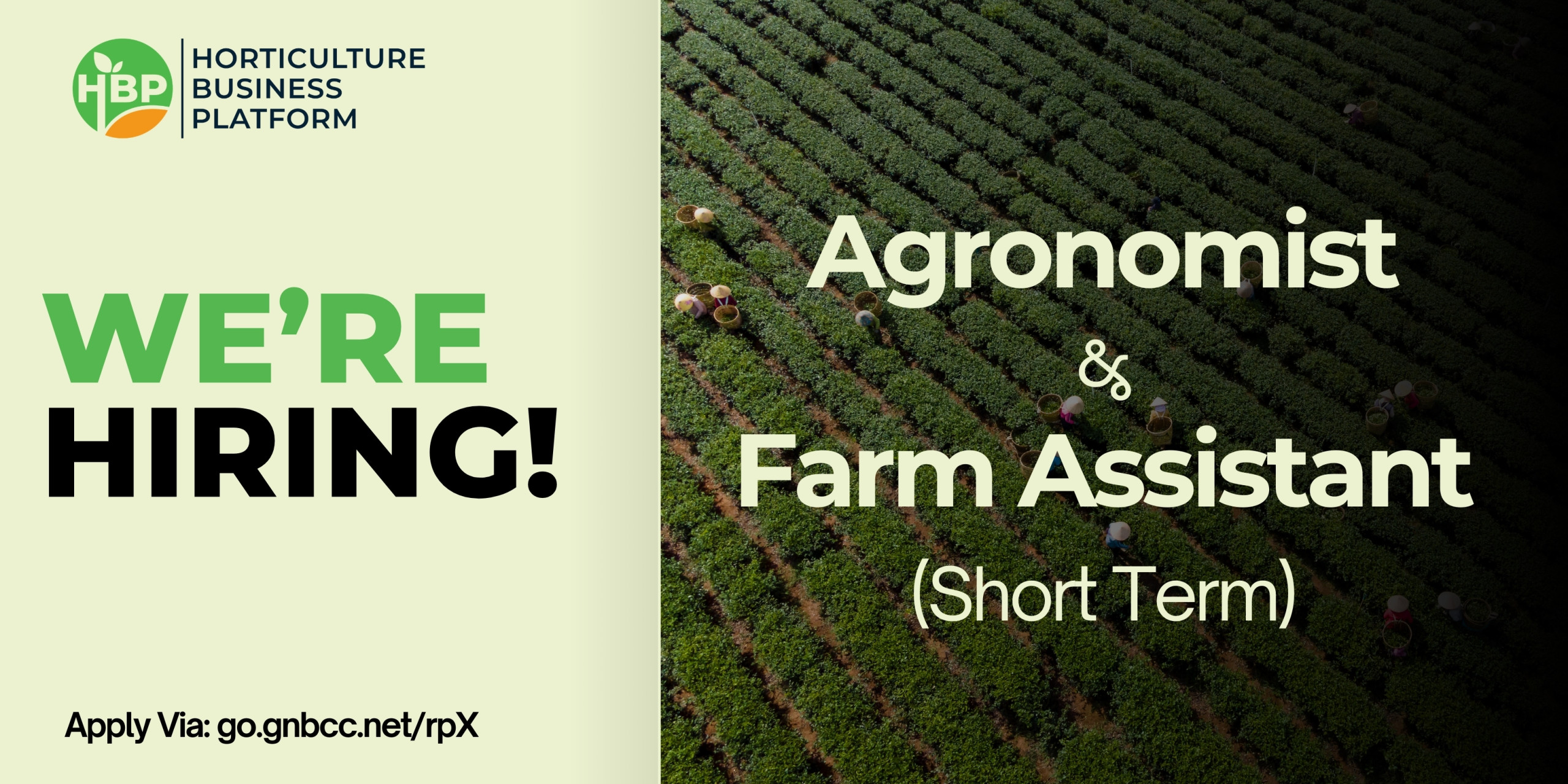 We’re Hiring: Join the HBP Agribusiness Pilot Program!
